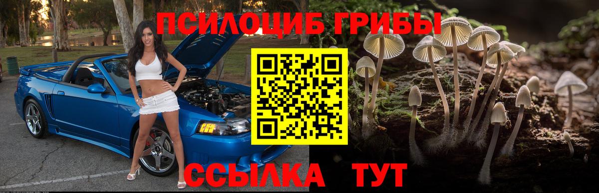 Псилоцибиновые грибы MAGIC MUSHROOMS Киреевск