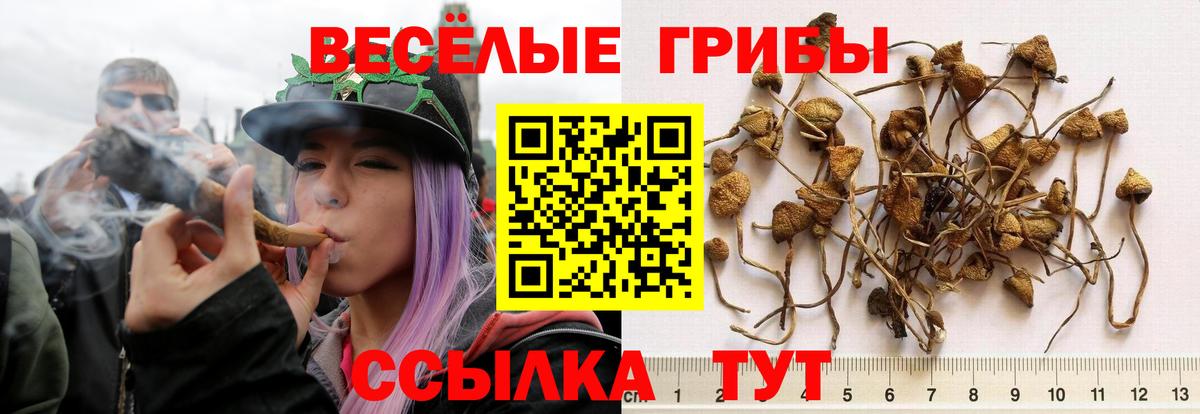 хочу наркоту  Вход с VPN  Киреевск  Галлюциногенные грибы мухоморы 